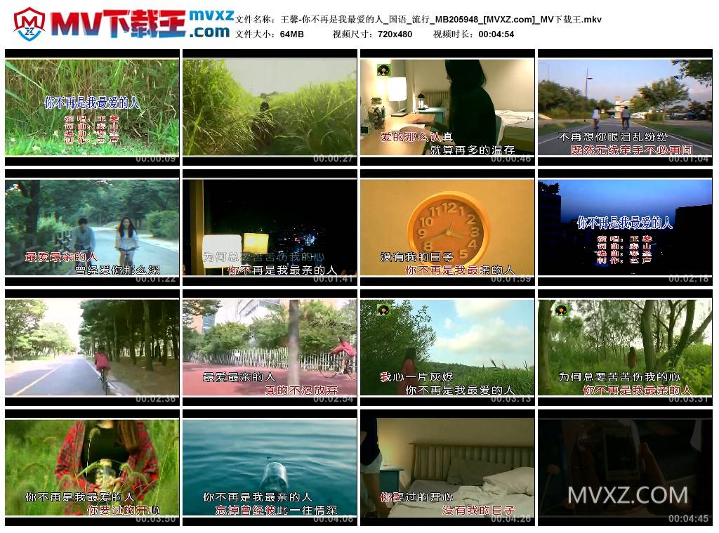 王馨-你不再是我最爱的人_国语_流行_MB205948